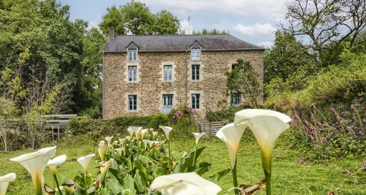 Le Moulin De Gueuzon Lejlighed Rochefort-en-Terre Eksteriør billede